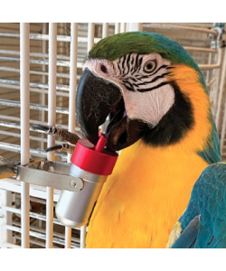 The Goodie Gadget Foraging Puzzle Parrot Toy